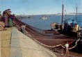 /album/fotos-antigas-de-vila-real-de-santo-antonio/pesca-jpg/
